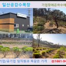 삼천리목장 이미지