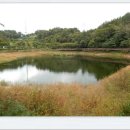 약사동제방유적전시관 이미지