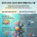 산호초