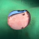 24시 양주 힐 동물의료센터 이미지