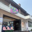 사림동319 | 창원 사림동 창원대 도넛 맛집 오마이도넛 후기