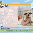 구칠칠