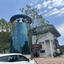 진도개천국 이미지