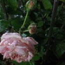 외간체육공원 이미지