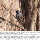 용장4리 | [경주] 남산(금오봉, 467.9m) 산행후기---2021년 1월 27일(수)