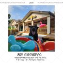 누나펜션 | [홍천/애견동반]멍구멍구하우스 독채펜션 내돈내산