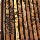 풍촌농장 이미지