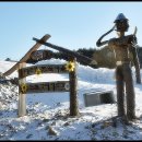 설피농장 이미지