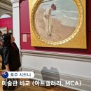 시드니 비오는날 갈만한곳 주립 아트갤러리 현대 미술관 비교