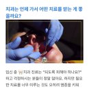 평택유디치과의원 | 임신 중기 임산부 치과 스케일링 후기 (+평택유디치과)
