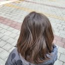 제이앤하우스 | 천안 성정동 미용실 더앤하우스 유아 커트 후기 내 돈 내산