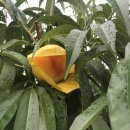 두물농원 이미지