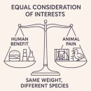 고려축산 이미지
