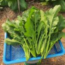 호골농장 이미지