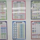 용인대 범 유도클럽 이미지