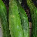 정순농산물