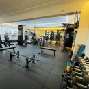 랩 지피티짐 이미지