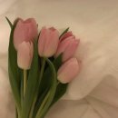 광암천 | 12월의 끝자락,