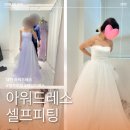 갑천역 1번출구 | [대전 아워드레스] 웨딩드레스 셀프피팅 내돈내산 후기 / 꿀팁, 준비물, 대여 가격