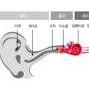 시그니아독일보청기남원센터
