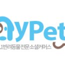 닥터펫 플러스 동물병원 이미지