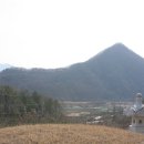 최양 Daum카페