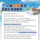 믿음의 형제들
