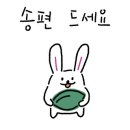 망고네 펫 살롱 이미지