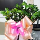 참조은원룸텔