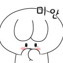 도그워시 이미지