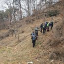 충남 금산 금성산 산행 정보 및 영상 이미지