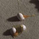 퍼니게임 이미지