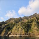 연기나리정보센터 | 2박 3일 여행 코스 총정리 (애견 동반 후기 + 도동항 맛집·행남해안산책로·나리분지·모노레일 후기)