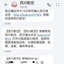 정아항공여행사