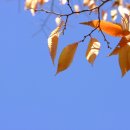 힐링미한의원 이미지