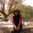 동호마을 이미지