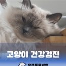 과천우주동물병원 이미지