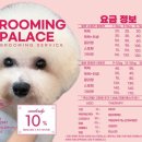 멍문대 애견유치원 네이버블로그