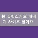 필립스프링