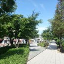 홍대최고공인중개사사무소 이미지