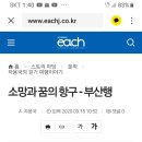 소망과 꿈의 항구 - 부산행 이미지