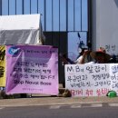 강정초등학교 이미지