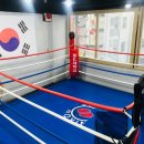 주도복싱클럽 이미지