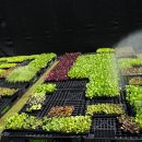 입석리농장 이미지