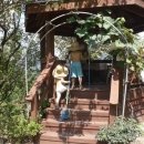 수화농장 이미지