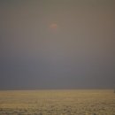 동일리-7 이미지