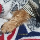 홍익메디케어 이미지