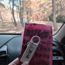 해송2로 | 서천 희리산해송자연휴양림 연립동 참새 아이랑 숙박후기