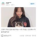 큐티댕냥 하남 본점 강아지 고양이 분양 이미지