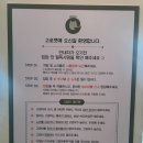 고로캣 고양이카페 이미지